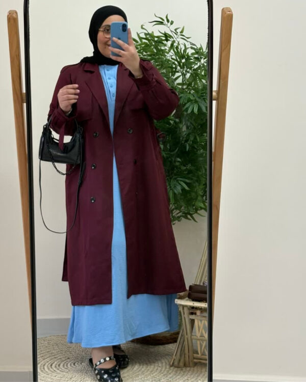 Tala Dress (Curvy) - Baby Blue