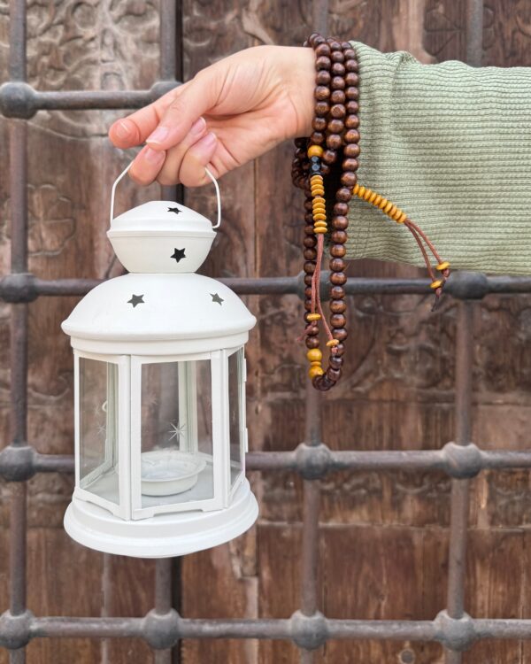 23 Rahma Olive Dress